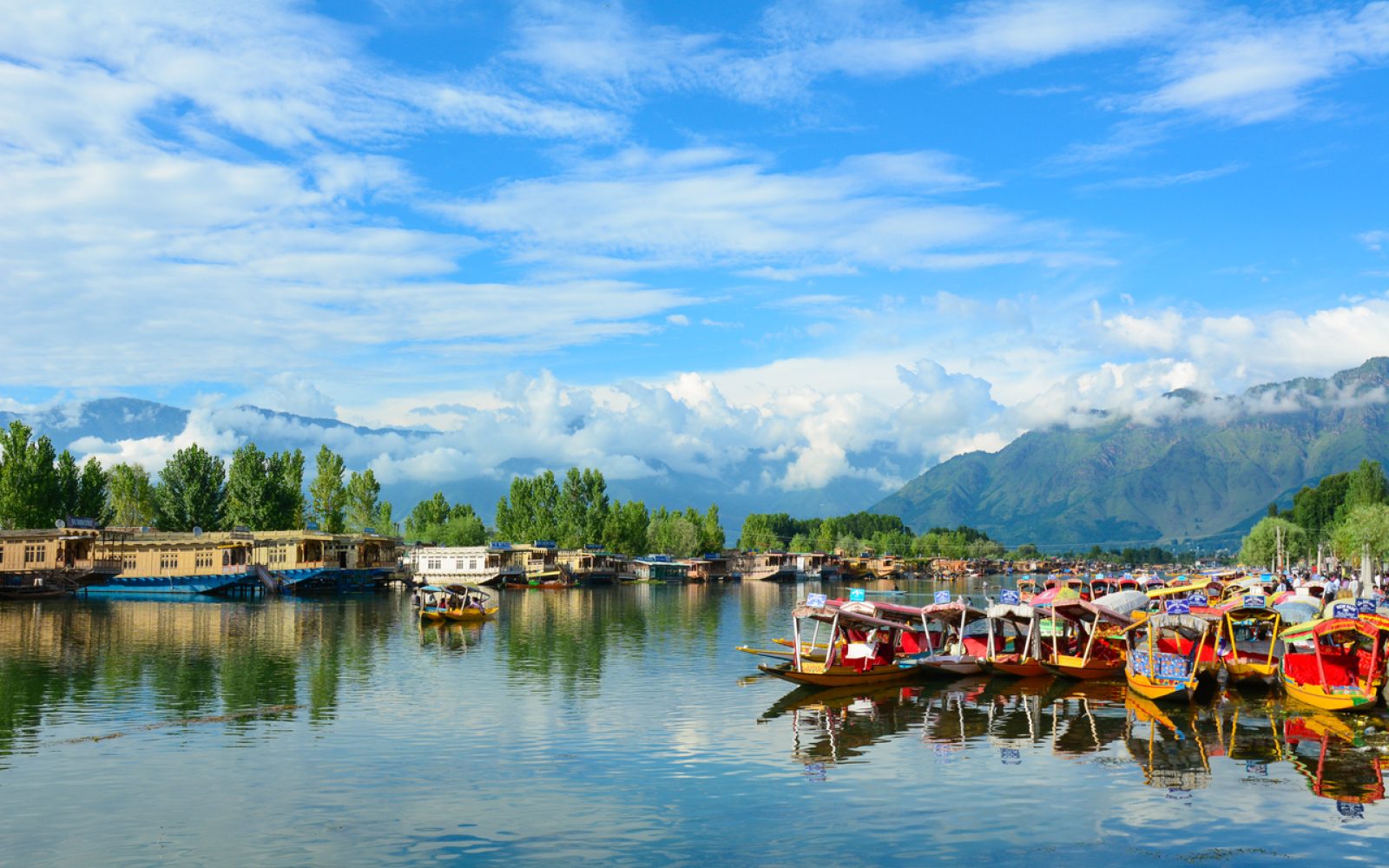 Srinagar, India - July 23, 2015: Many traditional boats waiting for tourists in the Dal lake of Srinagar, Jammu and Kashmir, India. Dal lake is integral to tourism and recreation in Kashmir.